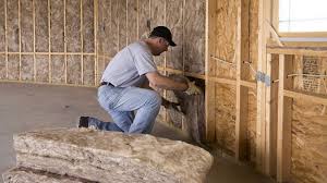 Best Crawl Space Insulation  in Silver Grove, KY